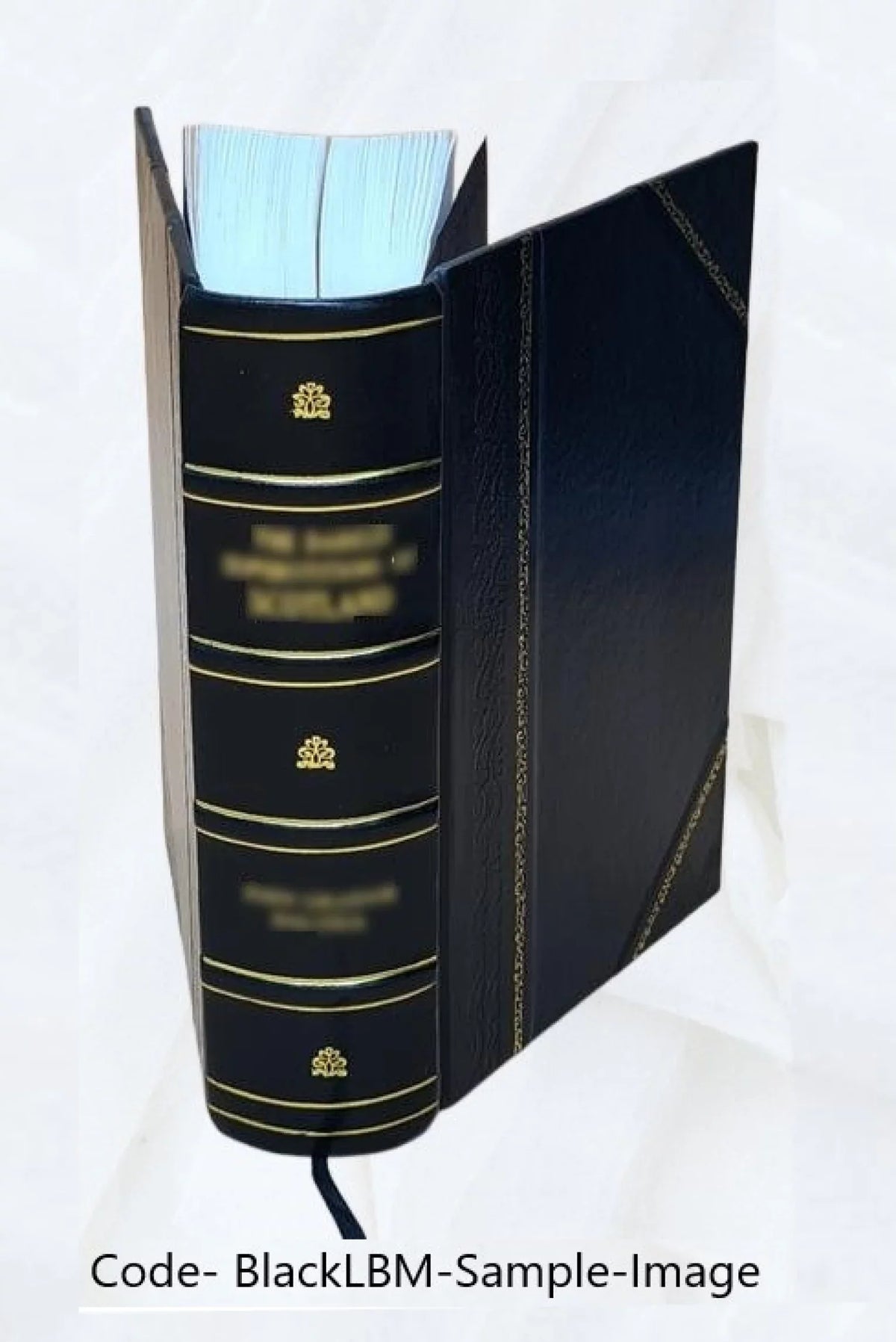 Volume v.9-10 1791 [Leather Bound]. Storia della marca trivigiana e veronese, di Giambatista Verci ..