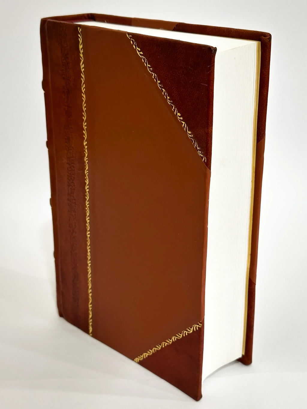 A Mendis Accurate Repurgata, Vivisque Imaginibus Eleganter & Opportune Suis Locis Illustrata 1 / 1578 Edition (1578) [Leather Bound]. Pauli Iovij Novocomensis Opera Quotquot Extant Omnia
