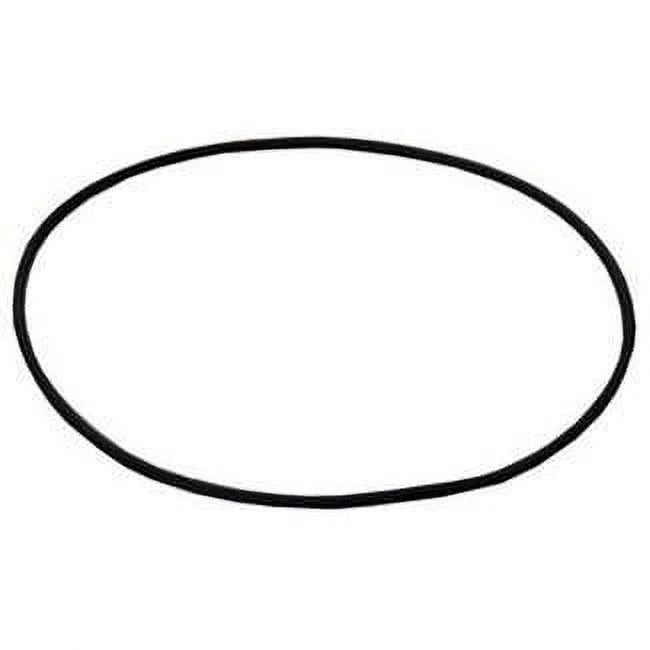 Zodiac O-Ring for 1 Piece Cap W13061