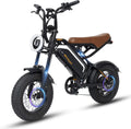 Bodywel M16 E-bike voor dames en heren, 16 x 4,0 inch All Terrain E Fatbike City  Mountain, 48 V 13 Ah acu, 250 W motor, bereik 80 km (PAS), LCD-display, dubbele verlichting, volledige vering