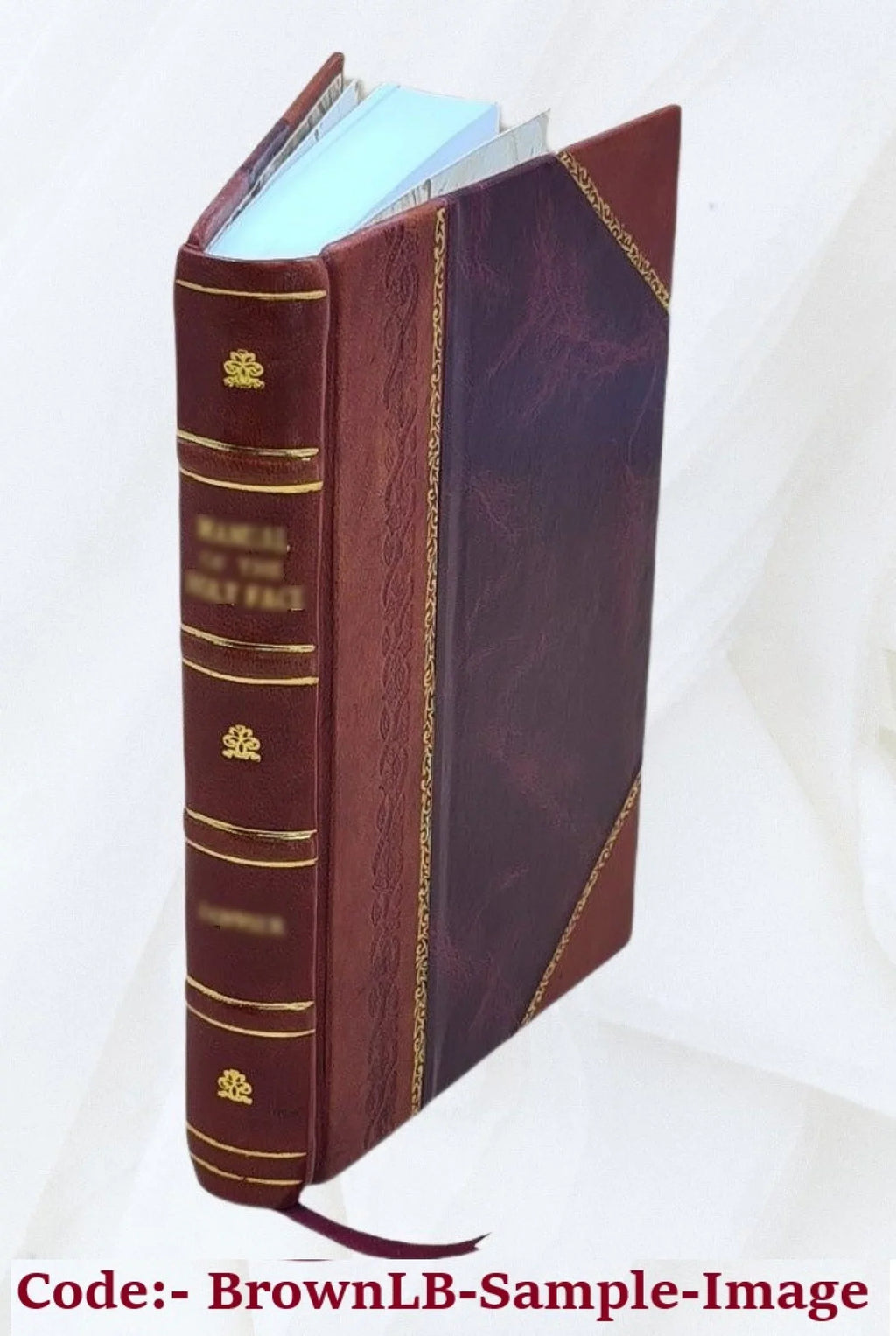 Orion; historisk-geographisk maanedskrift Volume 3 1839 [Leather Bound]