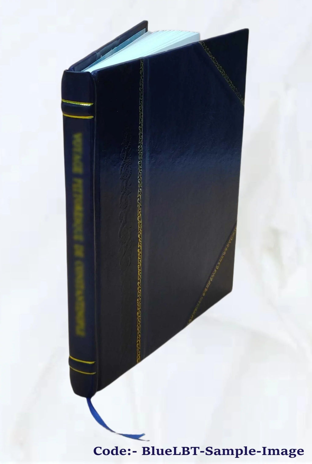 Statistica delle strade nazionali 1855 [Leather Bound]