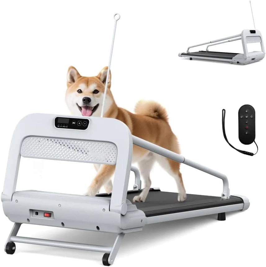 Slimme rustige hondenriem verstelbare snelheid veilig voor kleine middelgrote honden huisdier training thuis beweging fitness(Zwart Wit + Staal)